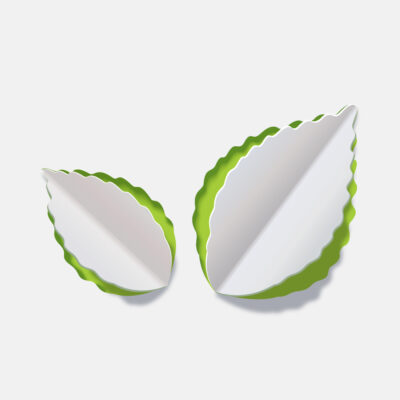 Love Paper styled cutout in the shape of two leaves, the fold creates the spine of the leaf, background of the cutout is green